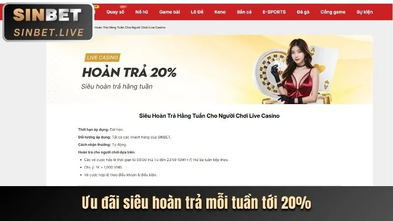 Cách tham gia chương trình VIP